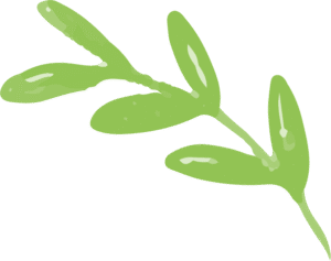 leaves-free-img